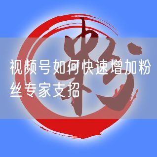 视频号如何快速增加粉丝专家支招