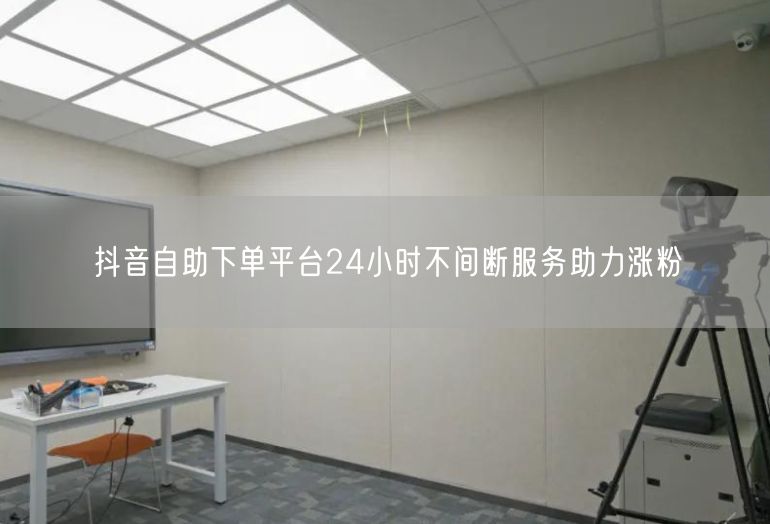 抖音自助下单平台24小时不间断服务助力涨粉