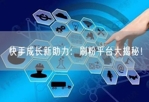 快手成长新助力：刷粉平台大揭秘！