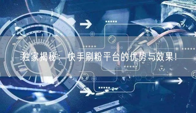 独家揭秘：快手刷粉平台的优势与效果！
